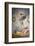 Raphael's Oil Painting of the Resurrection of Jesus Altar of the Transfiguration Altarpiece-Godong-Framed Photographic Print