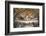 Raphael's Rooms, Disputation of the Holy Sacrament, Vatican Museum, Rome, Lazio-Godong-Framed Photographic Print