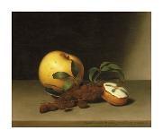 Still Life - Strawberries and Nuts-Raphaelle Peale-Premium Giclee Print