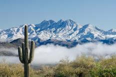 Saguaro Cactus Await Monsoon-raphoto-Framed Photographic Print