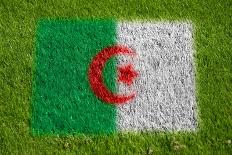 Flag of Algeria on Grass-raphtong-Framed Art Print