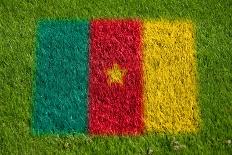 Flag of Cameroon on Grass-raphtong-Framed Art Print