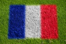 Flag of France on Grass-raphtong-Art Print