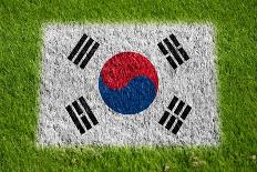 Flag of Korea on Grass-raphtong-Framed Art Print