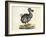 Raphus cucullatus, Extinct Dodo Bird-Science Source-Framed Giclee Print