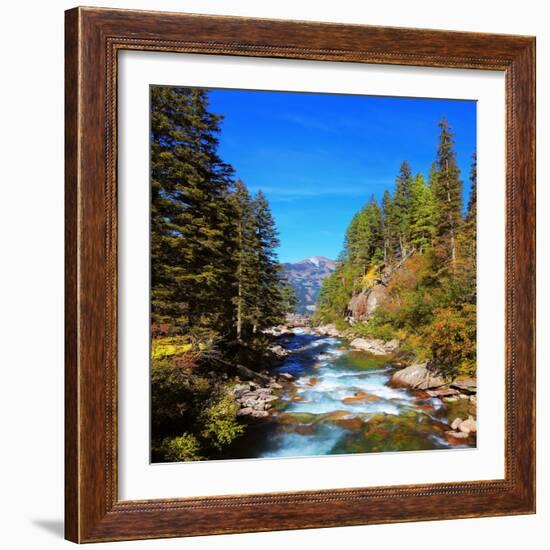 Rapid Mountain Stream of Coniferous Forests. Pastoral in the Alpine Mountain Valley in Austria. Cas-kavram-Framed Photographic Print