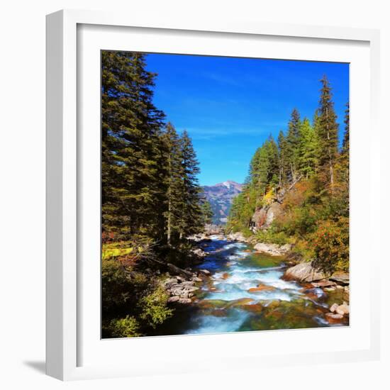 Rapid Mountain Stream of Coniferous Forests. Pastoral in the Alpine Mountain Valley in Austria. Cas-kavram-Framed Photographic Print