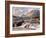 Rapids and Fremont Peak on Lower Titcomb Basin, Bridger National Forest, USA-Don Paulson-Framed Photographic Print