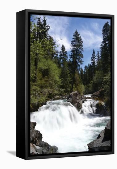 Rapids I-Brian Moore-Framed Premier Image Canvas