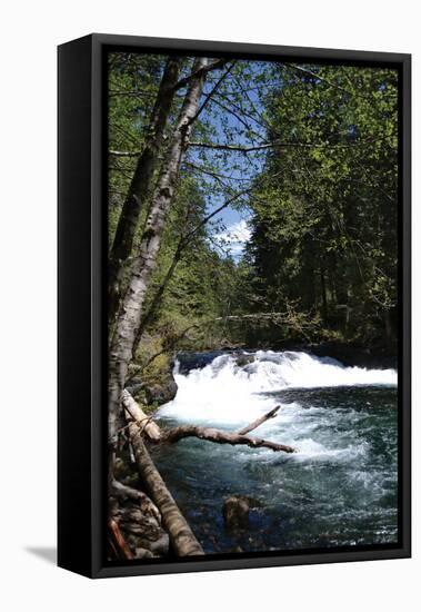 Rapids II-Brian Moore-Framed Premier Image Canvas