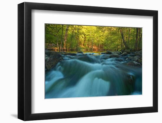 Rapids-Thomas Ebelt-Framed Photographic Print