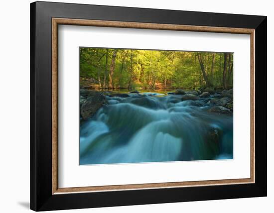 Rapids-Thomas Ebelt-Framed Photographic Print