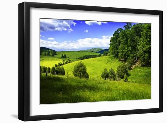 Rappahannock County III-Alan Hausenflock-Framed Photographic Print