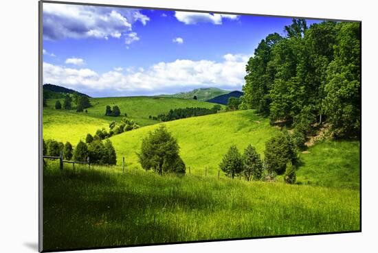 Rappahannock County III-Alan Hausenflock-Mounted Photographic Print