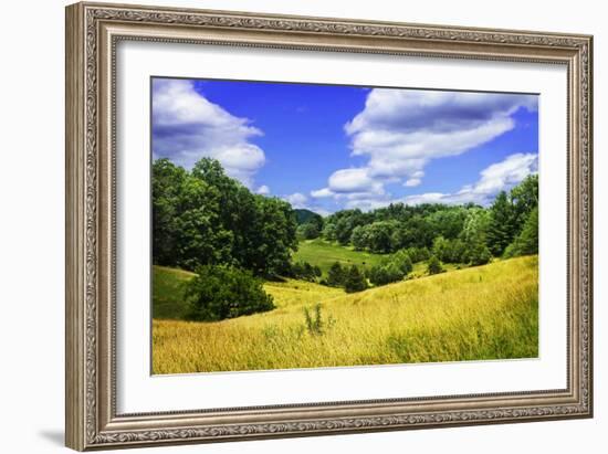 Rappahannock County IV-Alan Hausenflock-Framed Photographic Print