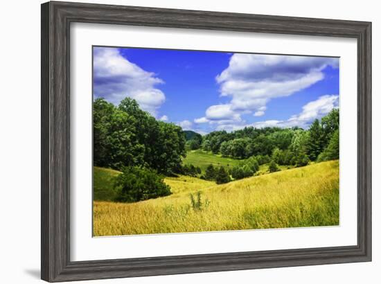 Rappahannock County IV-Alan Hausenflock-Framed Photographic Print