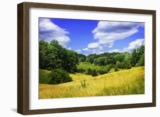 Rappahannock County IV-Alan Hausenflock-Framed Photographic Print