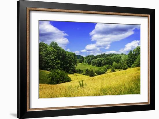 Rappahannock County IV-Alan Hausenflock-Framed Photographic Print