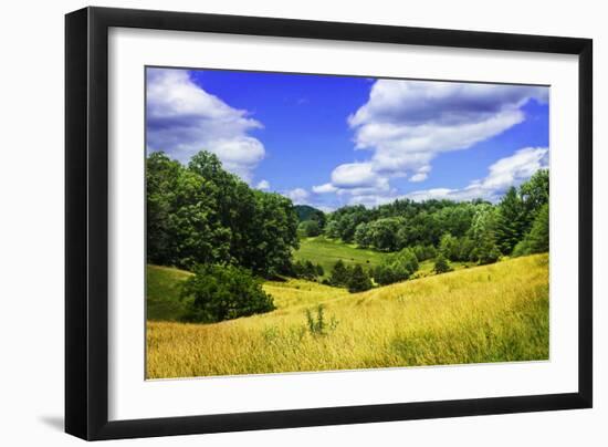 Rappahannock County IV-Alan Hausenflock-Framed Photographic Print