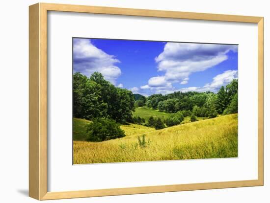 Rappahannock County IV-Alan Hausenflock-Framed Photographic Print