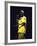 Rapper Snoop Doggy Dogg Performing at Radio City Music Hall-null-Framed Premium Photographic Print