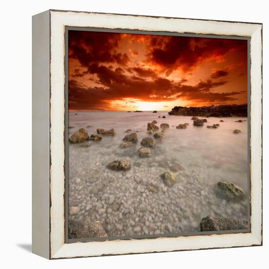 Rapsody in Red-Philippe Sainte-Laudy-Framed Premier Image Canvas
