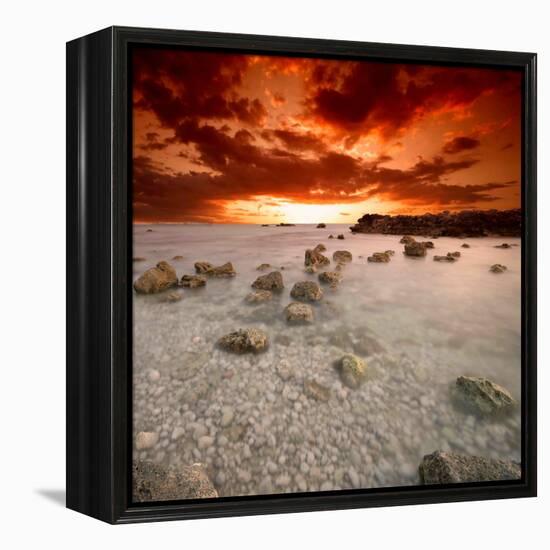 Rapsody in Red-Philippe Sainte-Laudy-Framed Premier Image Canvas