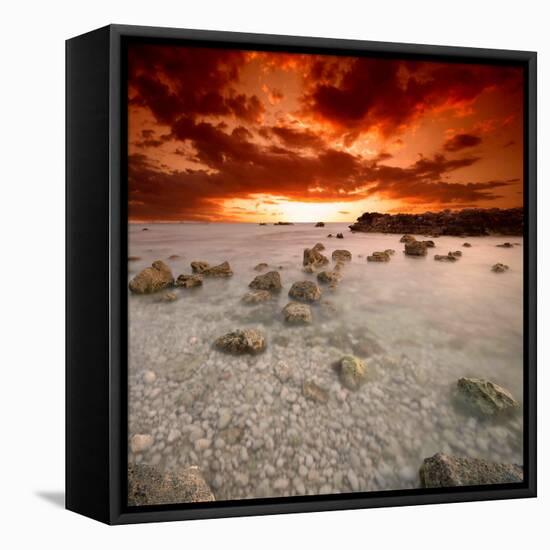 Rapsody in Red-Philippe Sainte-Laudy-Framed Premier Image Canvas