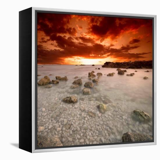 Rapsody in Red-Philippe Sainte-Laudy-Framed Premier Image Canvas