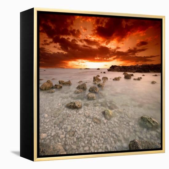 Rapsody in Red-Philippe Sainte-Laudy-Framed Premier Image Canvas