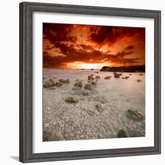 Rapsody in Red-Philippe Sainte-Laudy-Framed Photographic Print