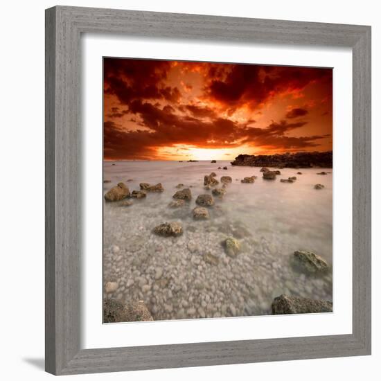 Rapsody in Red-Philippe Sainte-Laudy-Framed Photographic Print