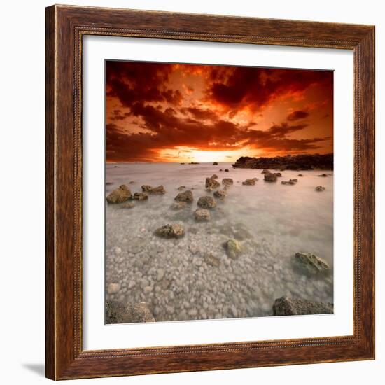 Rapsody in Red-Philippe Sainte-Laudy-Framed Photographic Print