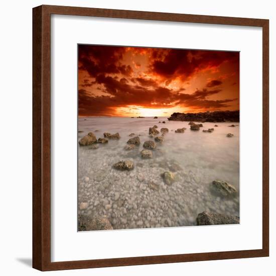 Rapsody in Red-Philippe Sainte-Laudy-Framed Photographic Print