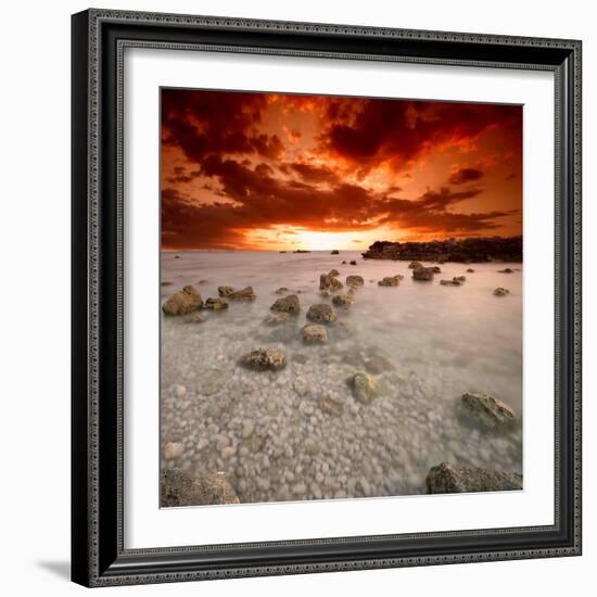 Rapsody in Red-Philippe Sainte-Laudy-Framed Photographic Print