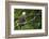 Raptor Center, Sitka, Alaska. Close-up of a Bald Eagle-Janet Muir-Framed Photographic Print