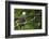 Raptor Center, Sitka, Alaska. Close-up of a Bald Eagle-Janet Muir-Framed Photographic Print