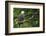 Raptor Center, Sitka, Alaska. Close-up of a Bald Eagle-Janet Muir-Framed Photographic Print