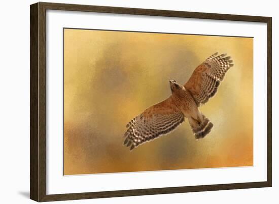 Raptors Afternoon Flight-Jai Johnson-Framed Giclee Print