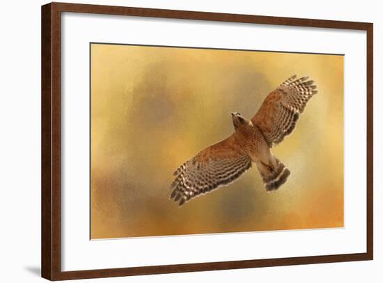 Raptors Afternoon Flight-Jai Johnson-Framed Giclee Print