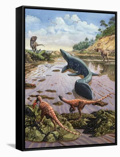 Stretched Canvas Print, , large