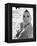 Raquel Welch-null-Framed Stretched Canvas