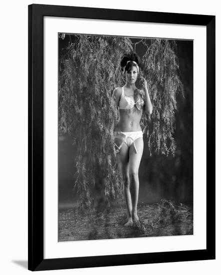 Photo, , large