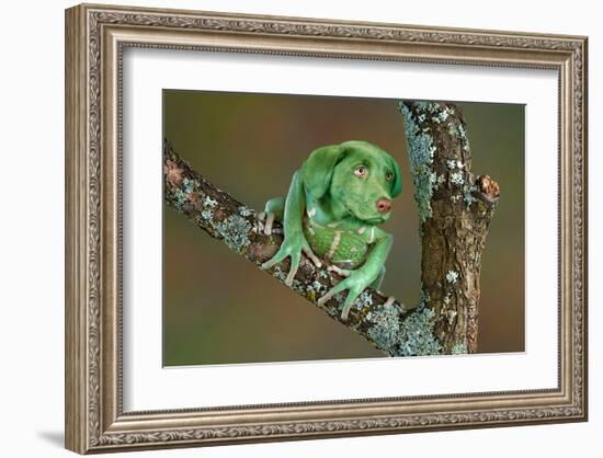 Rare Dog-Frog-null-Framed Art Print