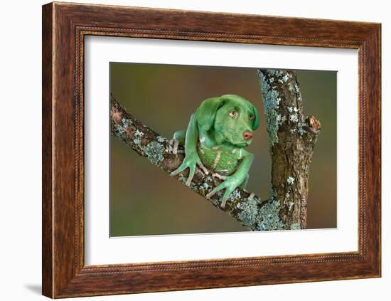 Rare Dog-Frog-null-Framed Art Print