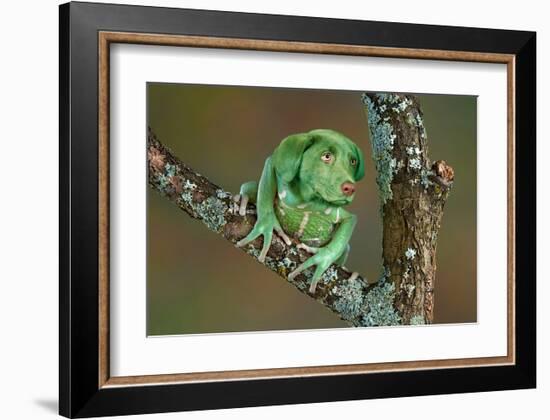 Rare Dog-Frog-null-Framed Art Print