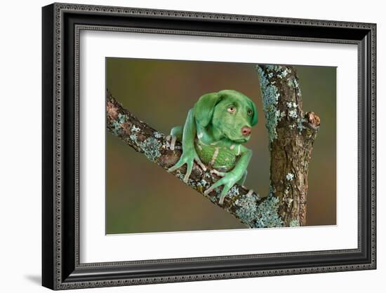 Rare Dog-Frog-null-Framed Art Print