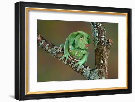 Rare Dog-Frog-null-Framed Art Print