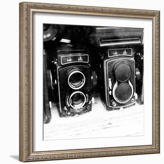Rare Finds II-Susan Bryant-Framed Photographic Print