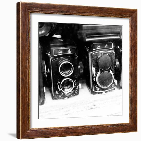 Rare Finds II-Susan Bryant-Framed Photographic Print